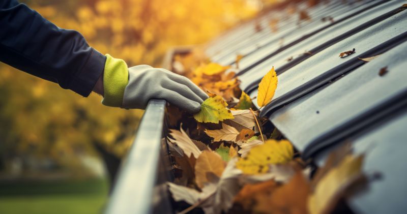 Autumn Maintenance Window