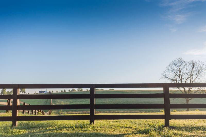 Horse Fence Replacement in Sacramento, CA