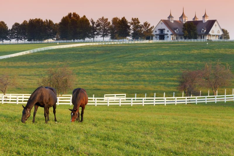 Horse Paddock Installation in Roseville, CA