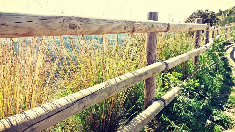 Wood Fence Installation in Pearland, TX